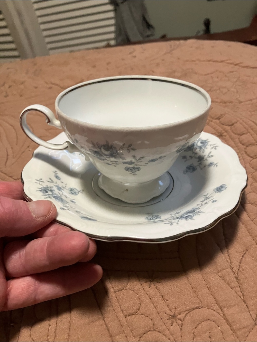Johan Havlland Blue Garland. Porcelain Teacup and Saucer